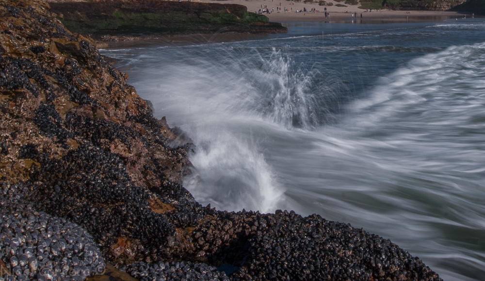 natural-bridges-santa-cruz-wave