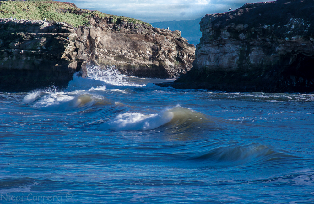 favorites-from-natural-bridges-visit-2-4