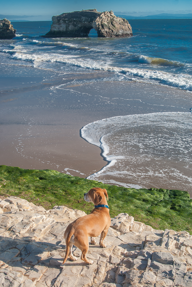 favorites-from-natural-bridges-visit-2-6