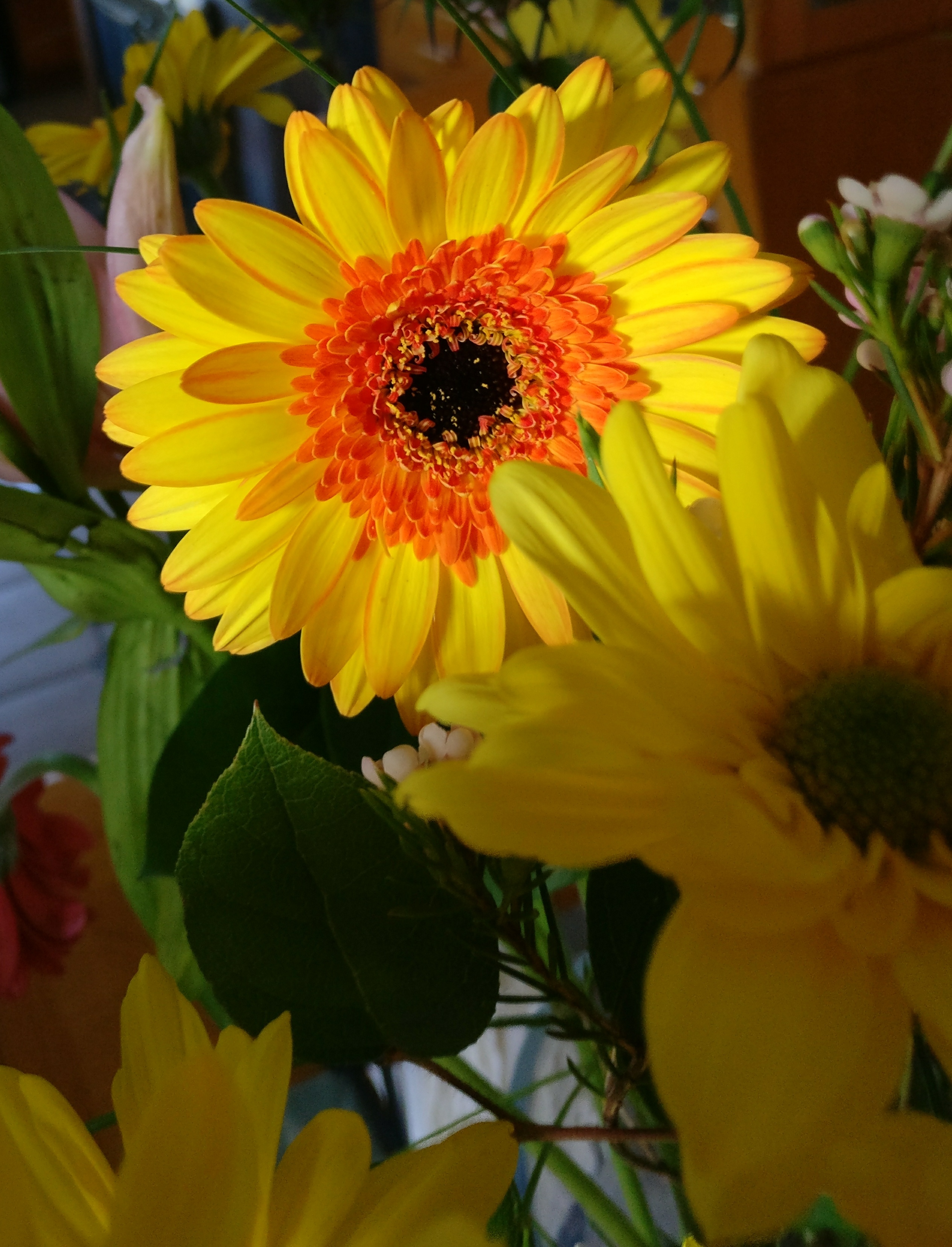 IMG_20170402_182746_01