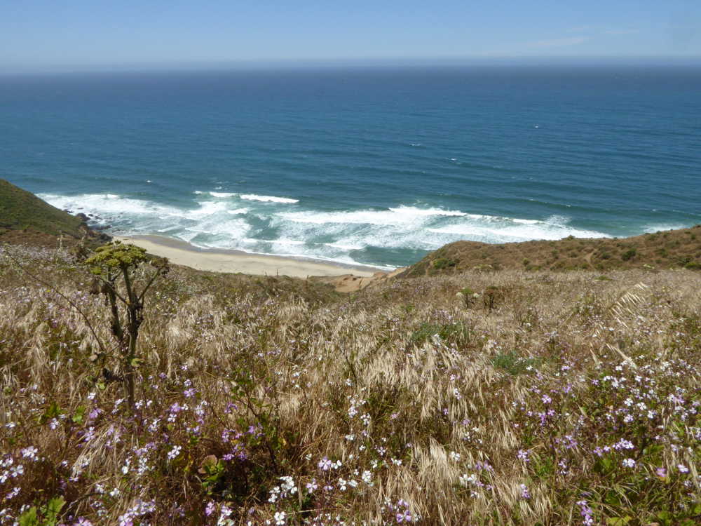 20170614_OceanScape2_P1150445