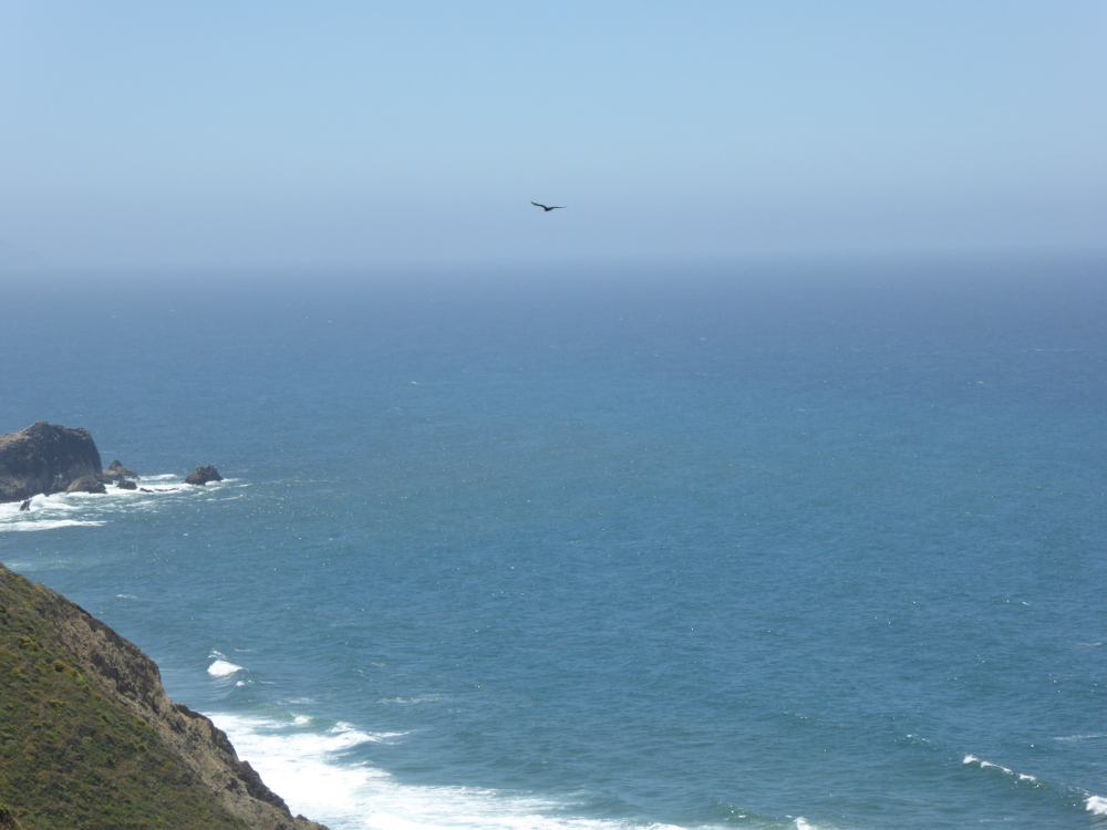 20170614_OceanScape3_P1150439