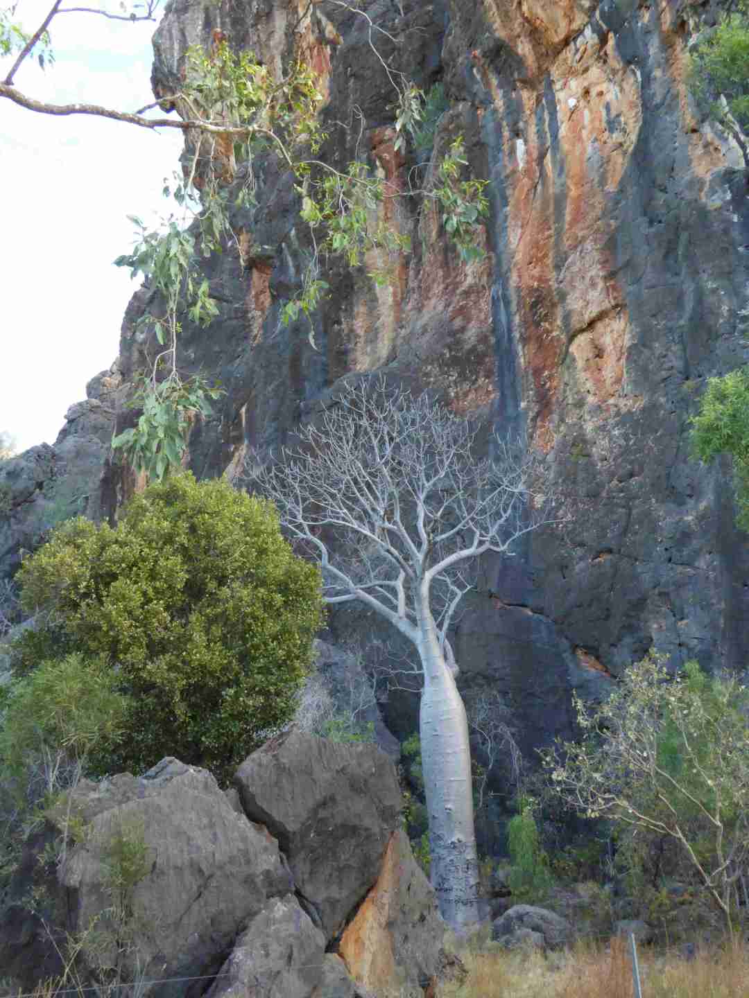 Tunnel_Creek_1_P1170239