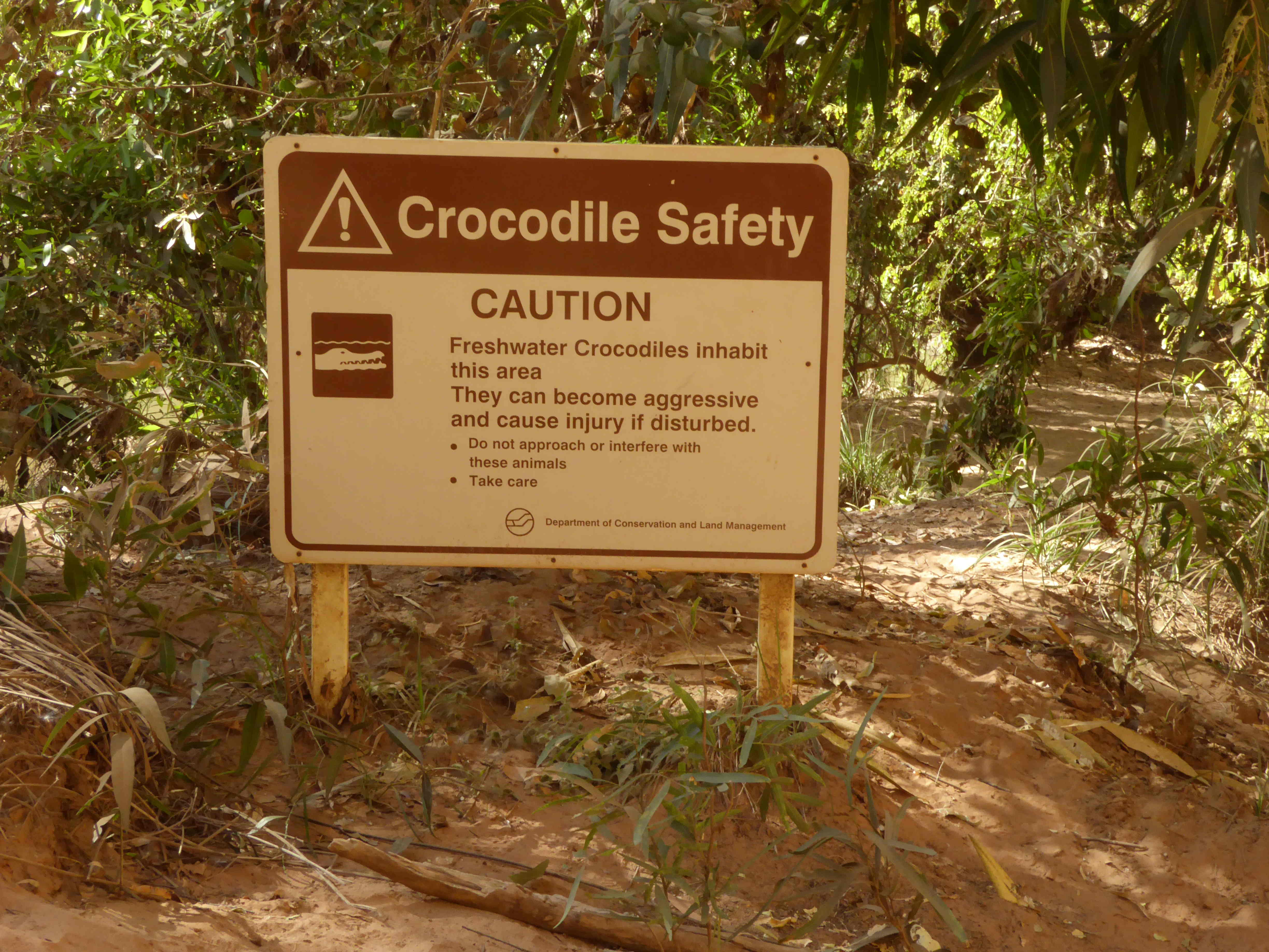 Windjana_Gorge_4_P1170150