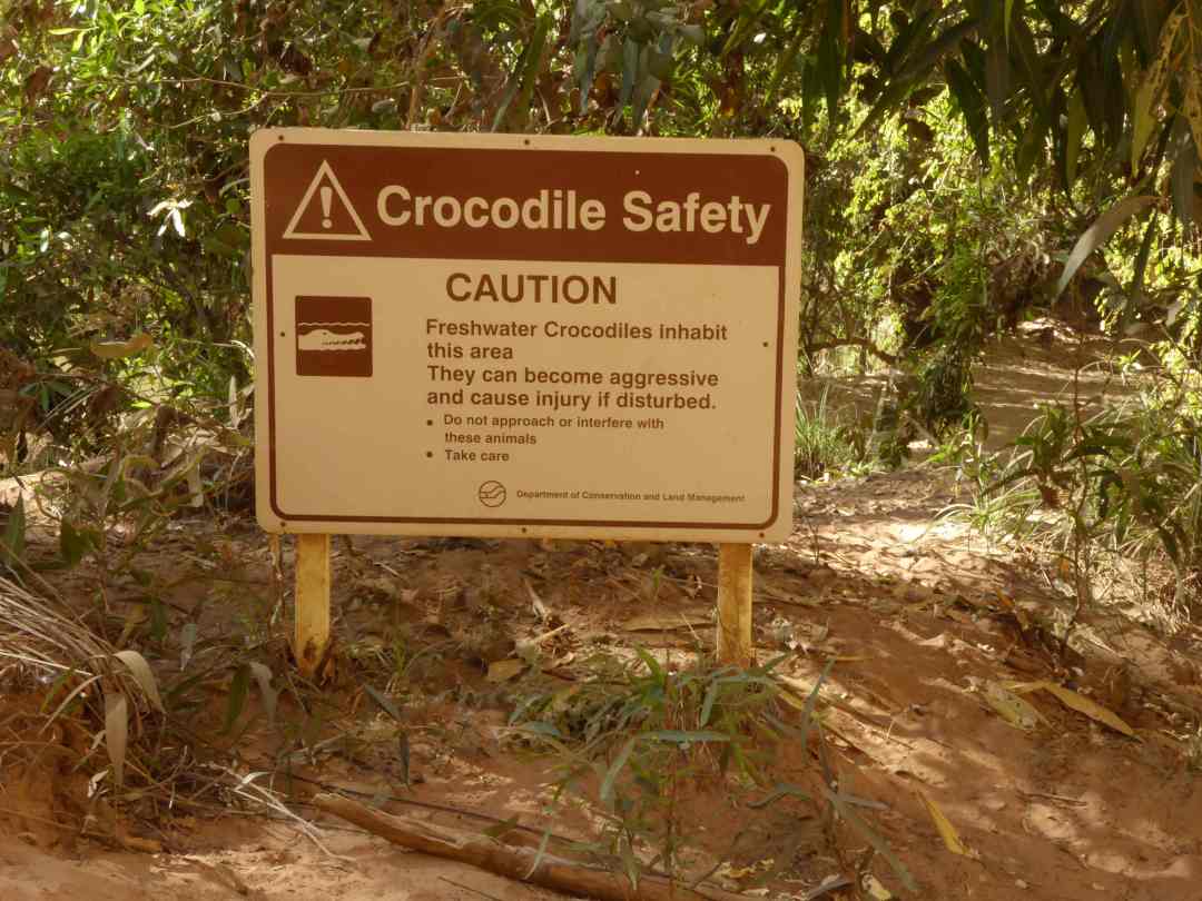 Windjana_Gorge_4_P1170150