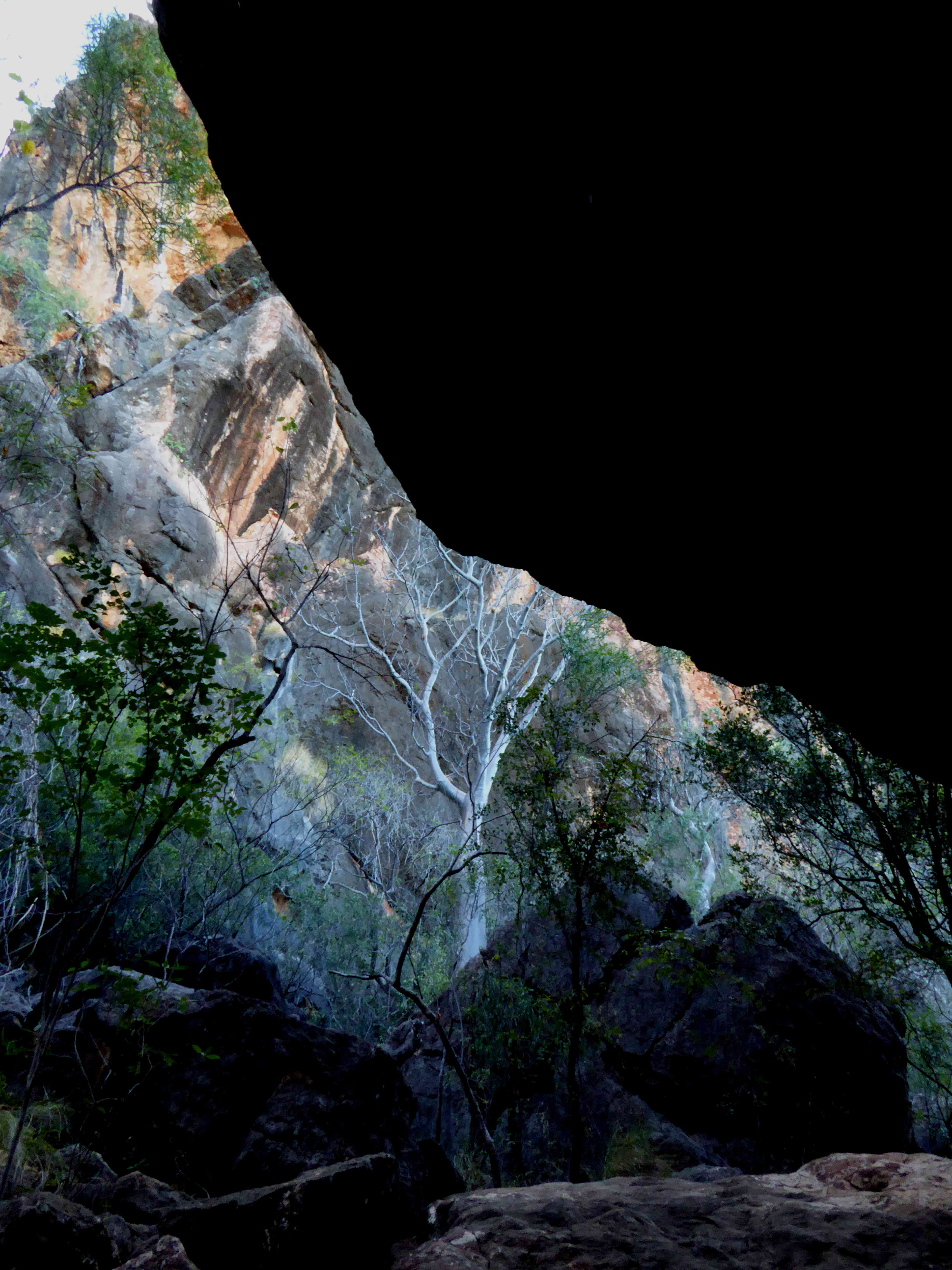 Windjana_Gorge_8_P1170150