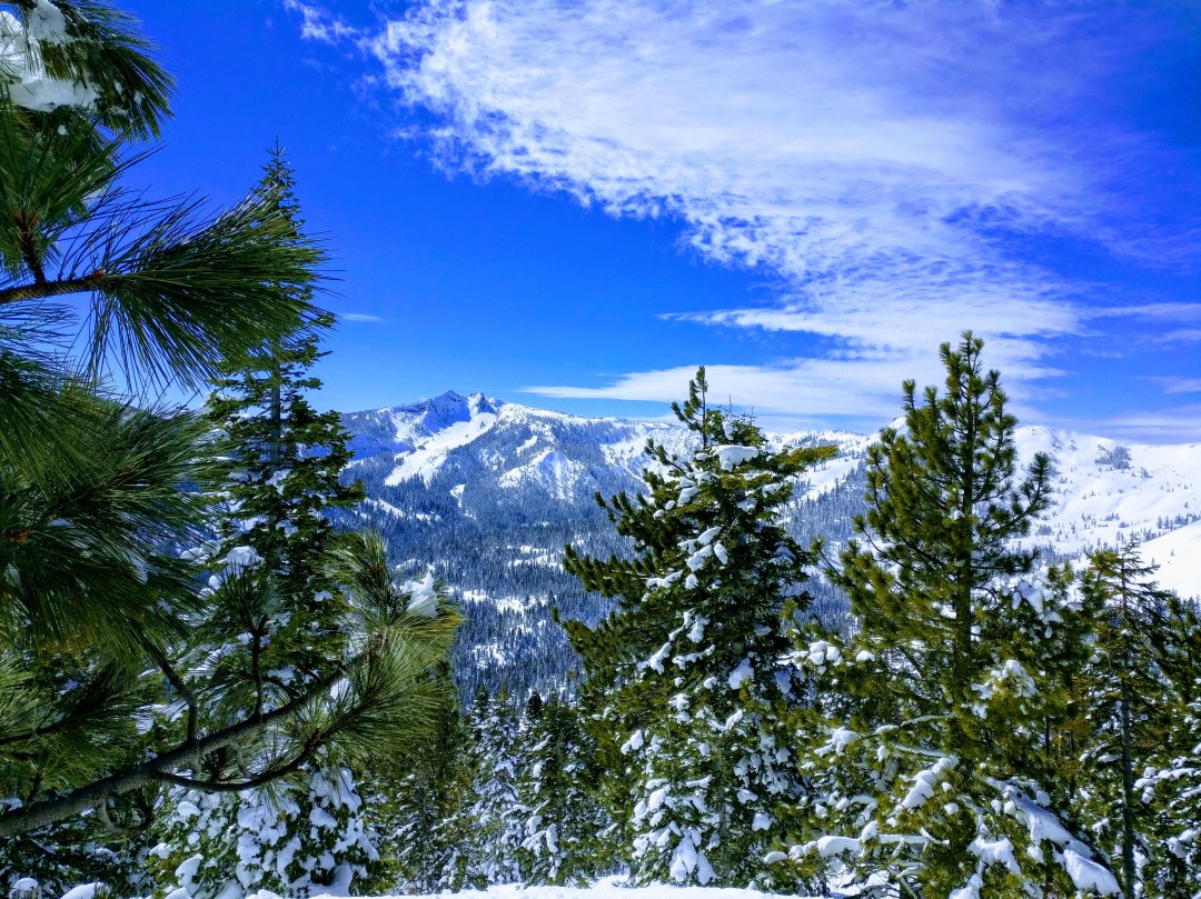 IMG_20190312_114356-EFFECTS