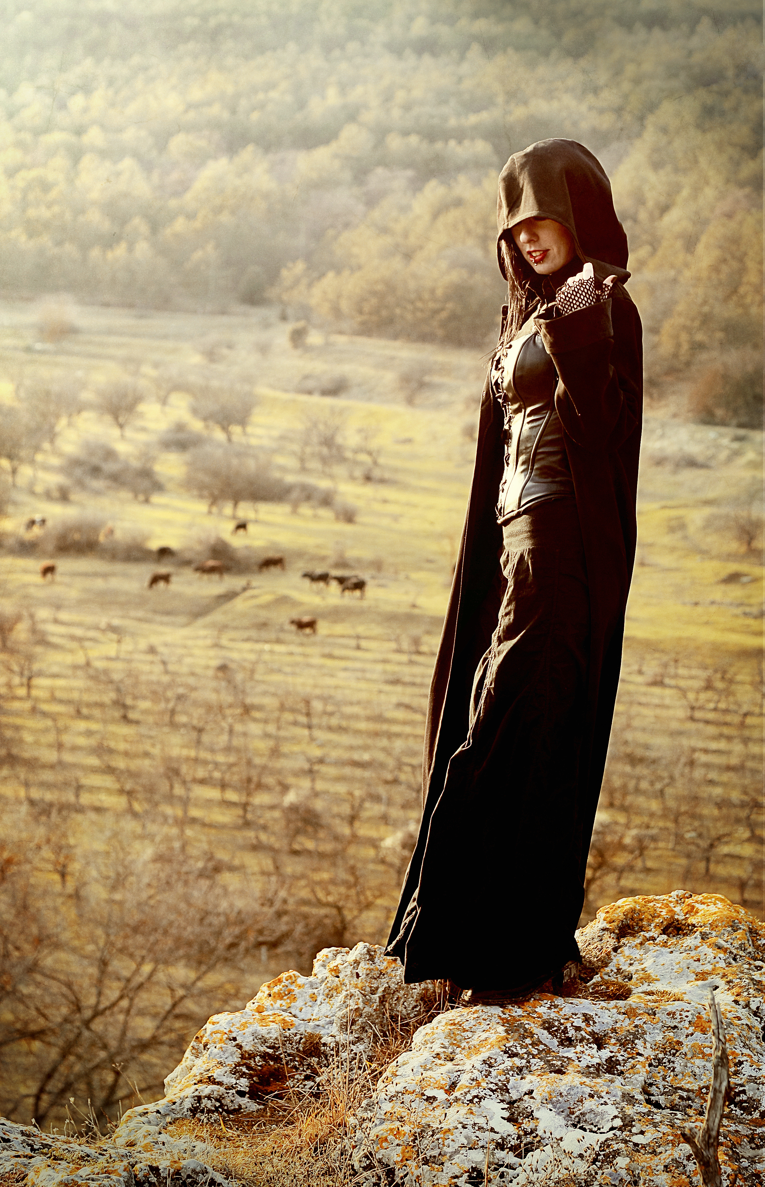 shutterstock_210397174